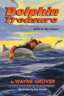 Capa do artigo Dolphin Treasure