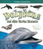 Dolphins And Other Marine Mammals - Preview