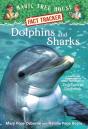 Dolphins And Sharks - Preview
