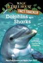 Dolphins And Sharks - Preview