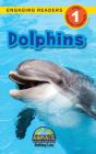 Dolphins - Preview