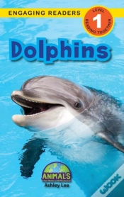 Capa do artigo Dolphins