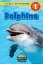 Dolphins - Preview