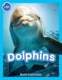 Dolphins! - Preview