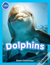 Capa do artigo Dolphins!