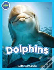 Capa do artigo Dolphins!