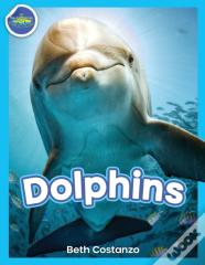 Dolphins!