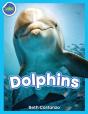 Dolphins! - Preview