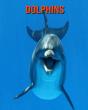 Dolphins - Preview