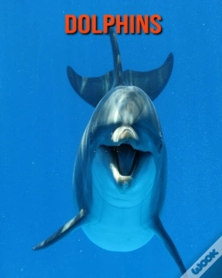 Capa do artigo Dolphins