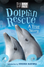 Dolphins - Preview