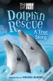 Capa do artigo Dolphins