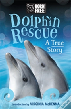 Capa do artigo Dolphins