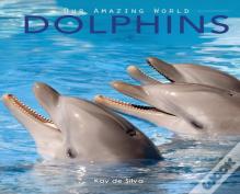 Dolphins