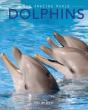 Dolphins - Preview