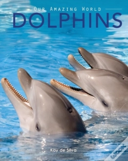 Capa do artigo Dolphins