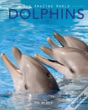 Capa do artigo Dolphins