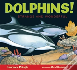 Capa do artigo Dolphins!