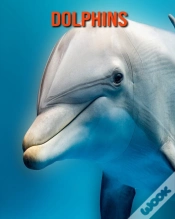 Capa do artigo Dolphins