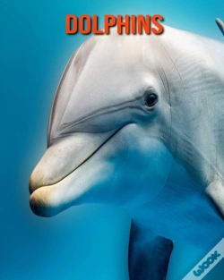 Capa do artigo Dolphins