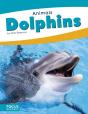 Dolphins - Preview