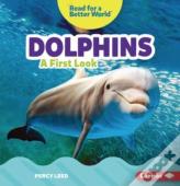 Dolphins