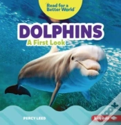 Capa do artigo Dolphins