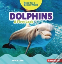 Capa do artigo Dolphins