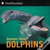 Capa do artigo Dolphins