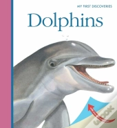 Dolphins