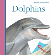 Capa do artigo Dolphins
