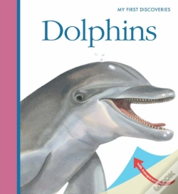 Capa do artigo Dolphins