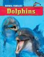Dolphins - Preview