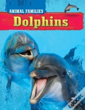 Capa do artigo Dolphins