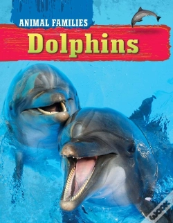 Capa do artigo Dolphins