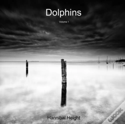 Capa do artigo Dolphins - Volume 1
