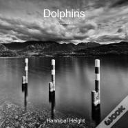 Dolphins - Volume 2