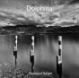 Dolphins - Volume 2 - Preview