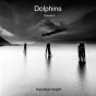Dolphins - Volume 3 - Preview