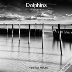 Capa do artigo Dolphins - Volume 4