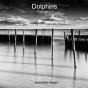 Dolphins - Volume 4 - Preview