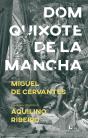 Dom Quixote de La Mancha - Preview