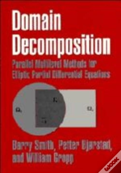 Capa do artigo Domain Decomposition