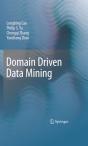 Domain Driven Data Mining - Preview