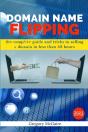 Domain Name Flipping - Preview