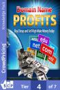 Domain Name Profits - Preview