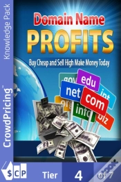 Capa do artigo Domain Name Profits