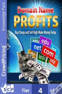 Capa do artigo Domain Name Profits