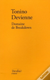 Capa do artigo Domaine De Breakdown