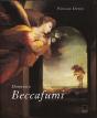 Domenico Beccafumi - Preview